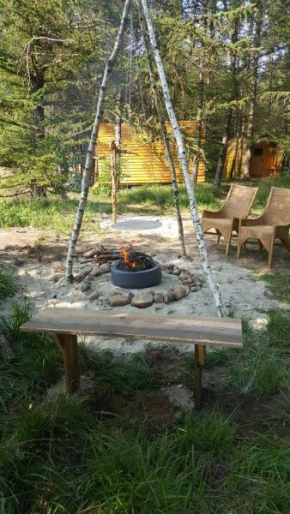 Glamping Pod im Wald